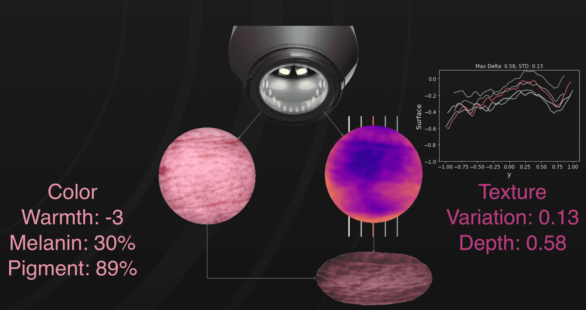 3d skin viewer diagram